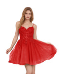 Spaghetti Strap Beaded Corset Glitter Tulle Homecoming Dress